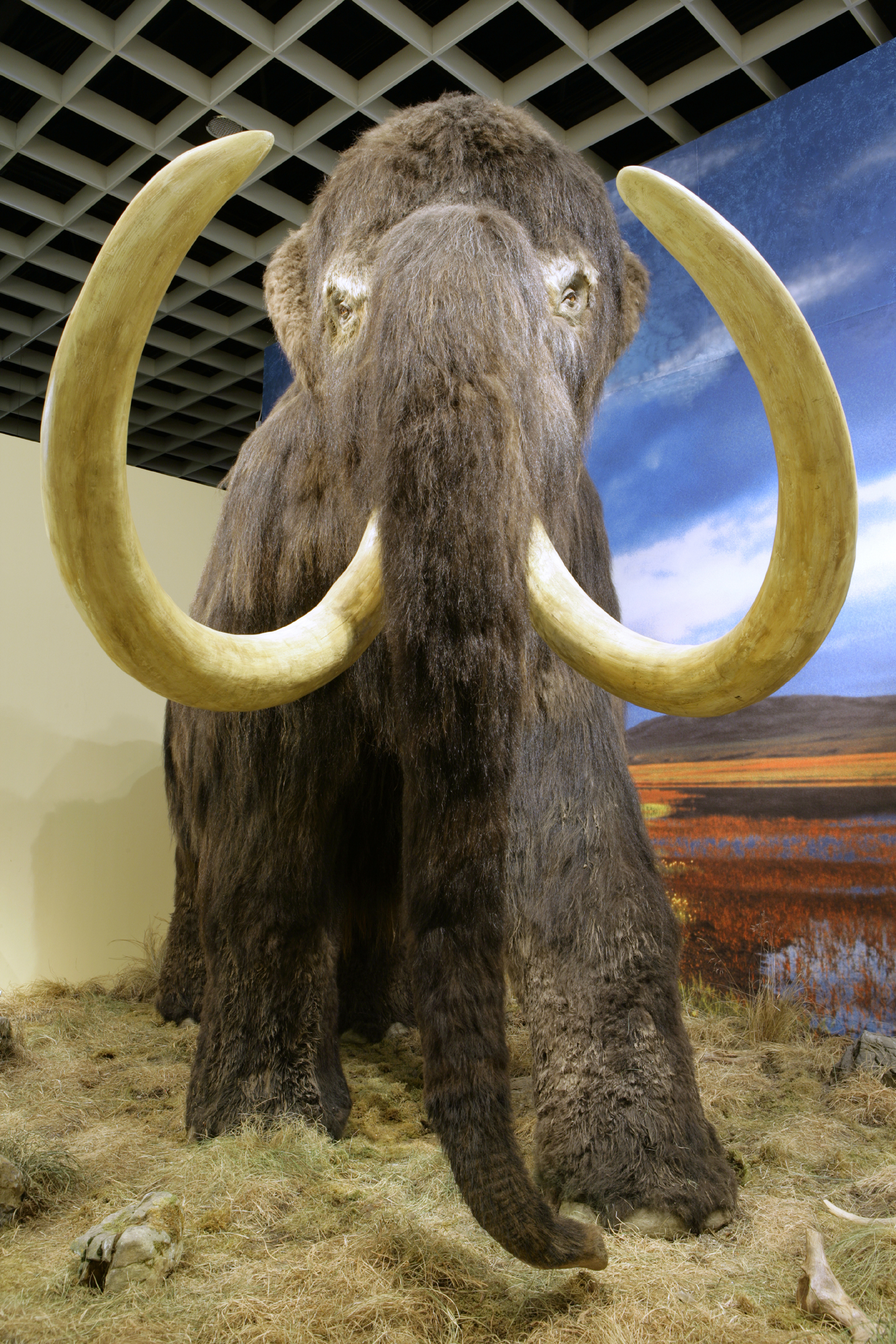 Lwl Westfalen Im Wandel Lwl Museum Fur Naturkunde