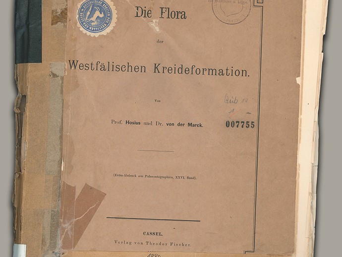 Publikation Die Flora der Westfälischen Kreideformation von 1880 (öffnet vergrößerte Bildansicht)