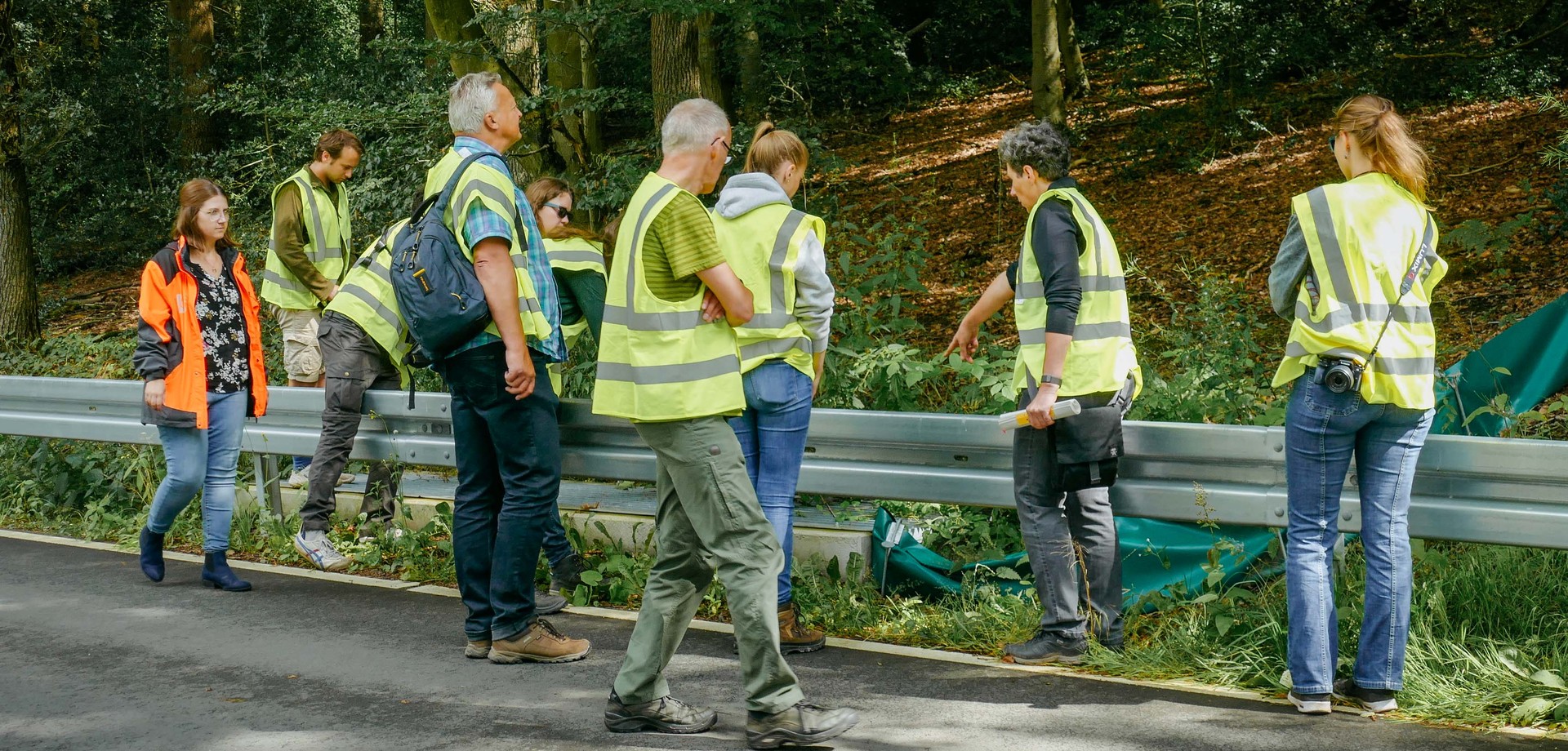 Personen mit Warnwestern schauen sich eine Amphibienleiteinrichtung am Straßenrand an.