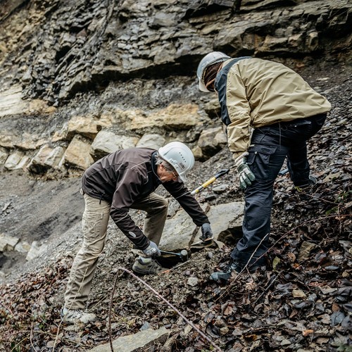 Paläontologische Bodendenkmalpflege