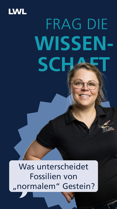 Vorschaubild des YouTube Kurzvideos