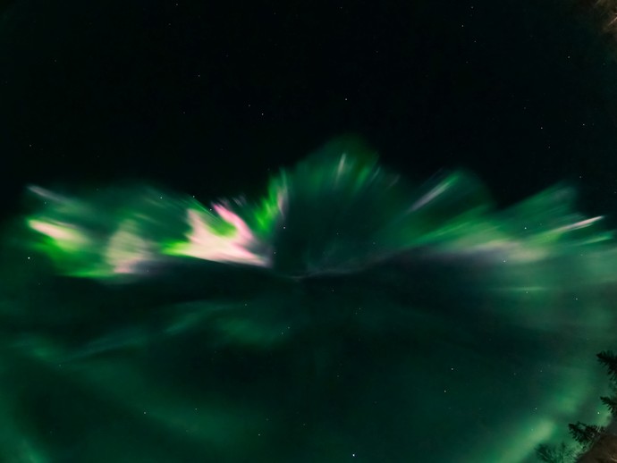 Silhouetten von Bäumen vor einem grünem Schleier am Himmelszelt, dem Polarlicht. (öffnet vergrößerte Bildansicht)
