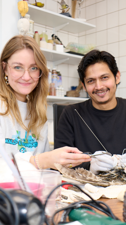 Vorschaubild des YouTube Kurzvideos