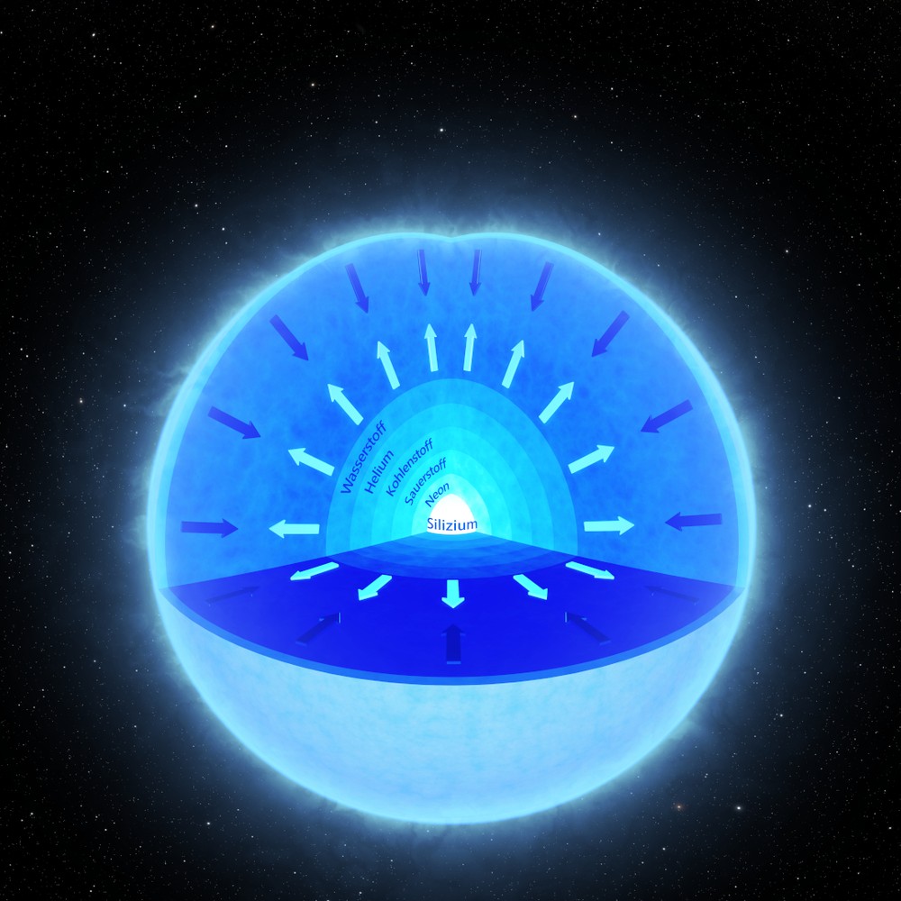 LWL 100 Jahre LWLMuseum für Naturkunde mit