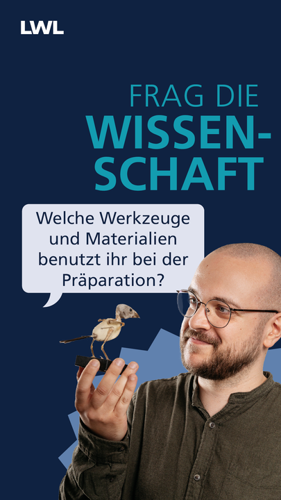 Vorschaubild des YouTube Kurzvideos