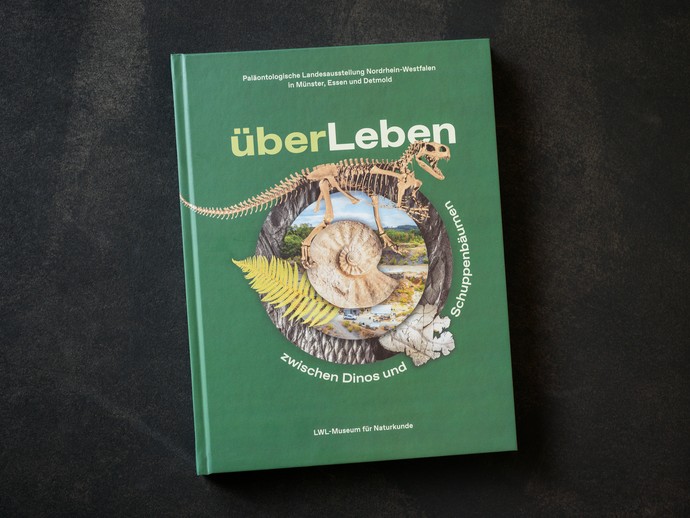 Cover des Begleitbuchs zur Landesausstellung "überLeben zwischen Dinos und Schuppenbäumen". (vergrößerte Bildansicht wird geöffnet)