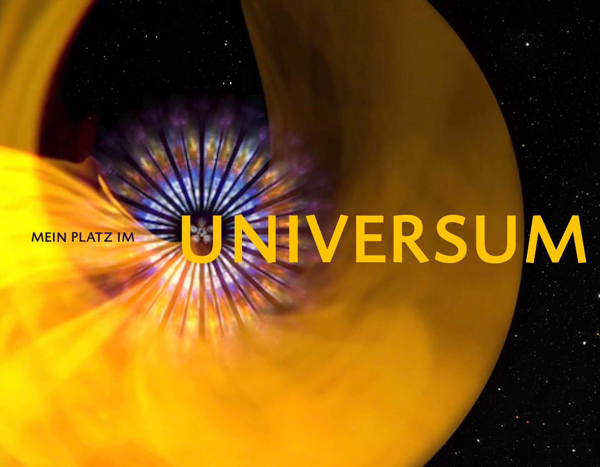 Gelbe, blumenähnliche Grafik mit Schriftzug "Mein Platz im Universum".