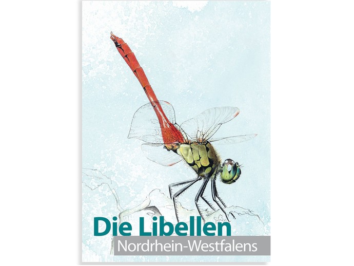 None (vergrößerte Bildansicht wird geöffnet)