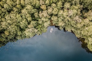 Naturschutzgebiet Heiliges Meer. Foto: LWL/Steinweg