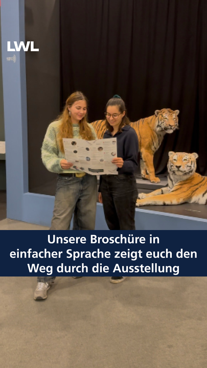 Vorschaubild des YouTube Kurzvideos