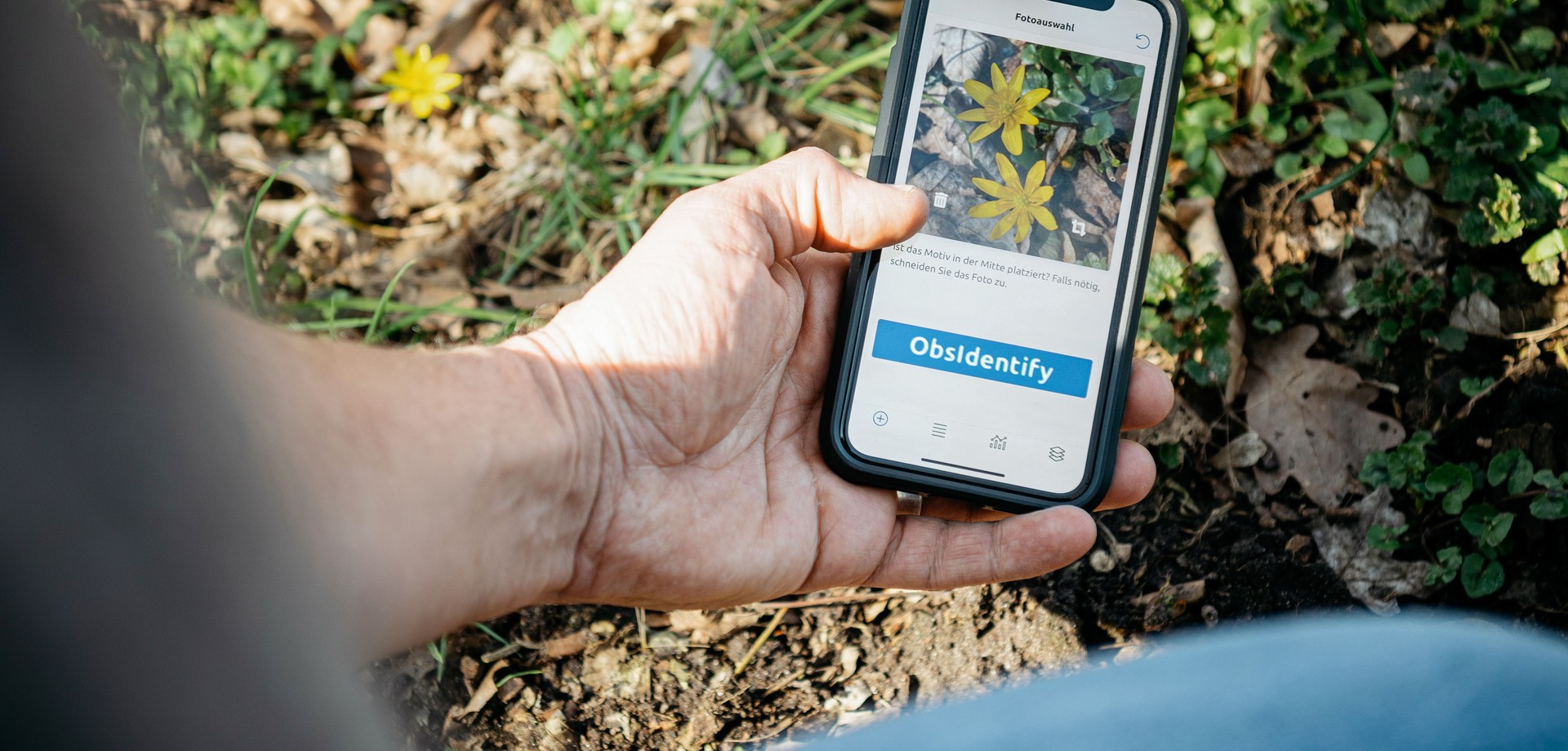 Eine Naturbeobachtung wird mit dem Smartphone und der App ObsIdentify bestimmt. Foto: LWL/Steinweg