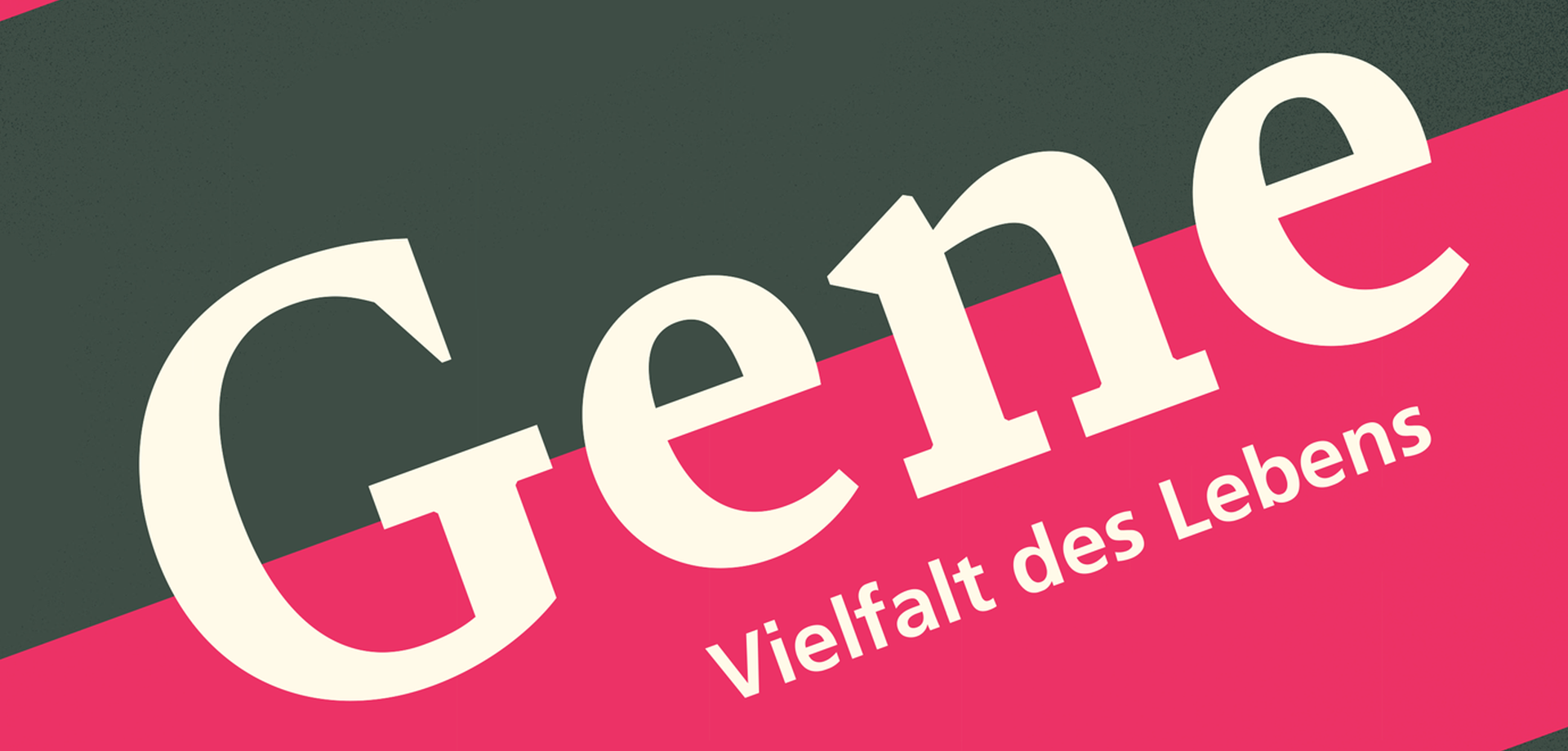Plakat zur Ausstellung mit bunten Farben und Text: Gene - Vielfalt des Lebens.