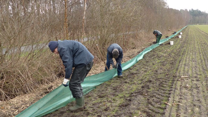 Amphibien- und Gewässermonitoring