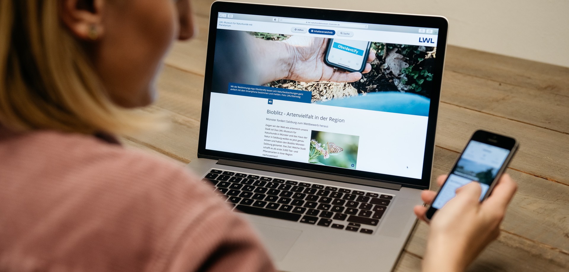 Naturbeobachtungen mit dem PC, dem Smartphone und der App ObsIdentify.