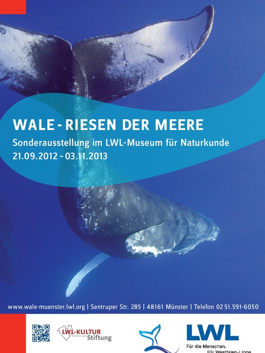 Wale (öffnet vergrößerte Bildansicht)