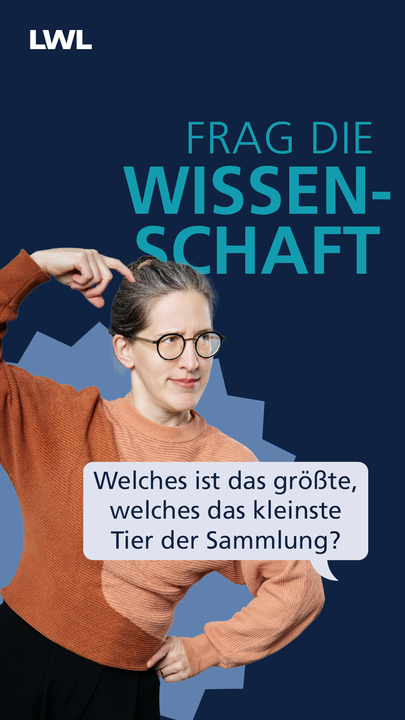 Vorschaubild des YouTube Kurzvideos