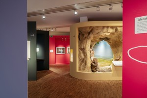 Eine Ausstellungsvitrine mit einer nachgestellten Höhle.