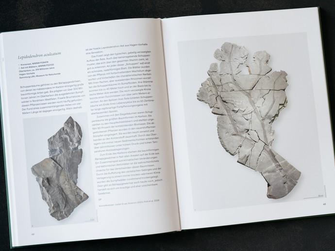 Einblick in das Begleitbuch zur Landesausstellung "überLeben zwischen Dinos und Schuppenbäumen". (vergrößerte Bildansicht wird geöffnet)