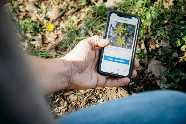 Eine Naturbeobachtung wird mit dem Smartphone und der App ObsIdentify bestimmt. Foto: LWL/Steinweg