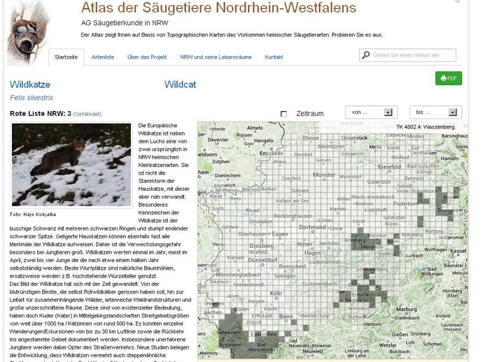 Eine Musteransicht der interaktiven Verbreitungskarten wird gezeigt am Beispiel Wildkatze. (vergrößerte Bildansicht wird geöffnet)