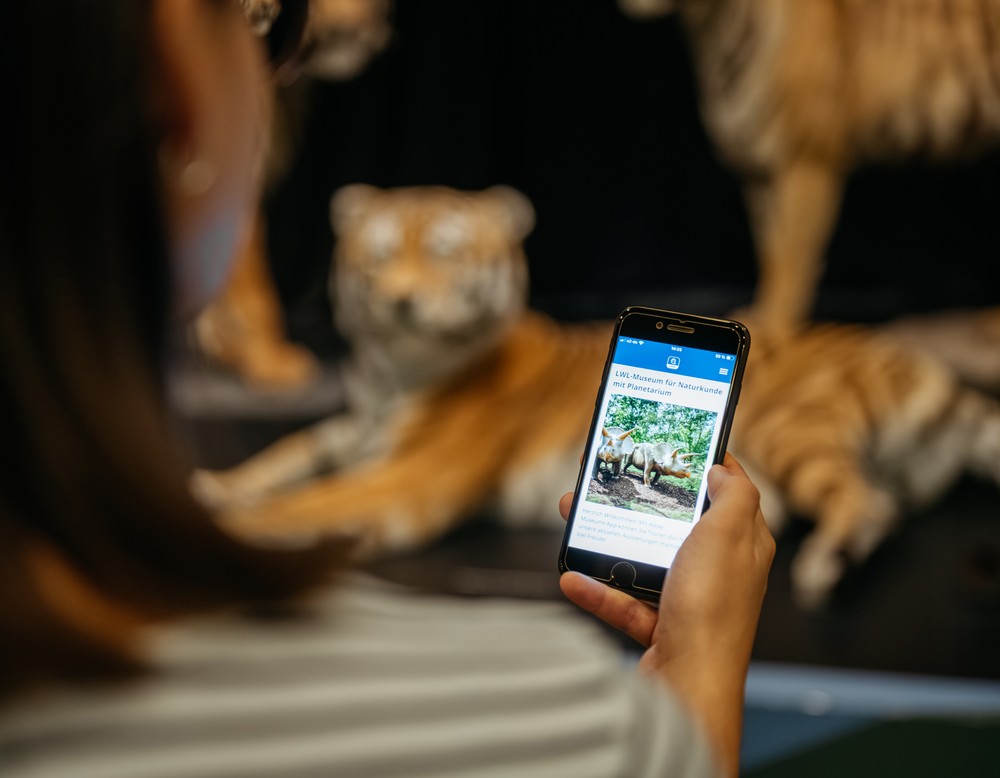 Eine Person hält ein Smartphone in der Hand, darauf ein Ausschnitt der Museums-App. im Hintergrund drei präparierte Tiger.