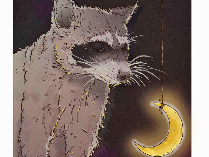 Waschbär. Illustration: Sascha Düvel (vergrößerte Bildansicht wird geöffnet)