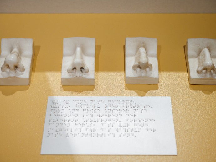 Gipsabdrücke verschiedener menschlicher Nasen zum Ertasten auf gelben Untergrund. Darunter eine silberne Braille-Schrift-Texttafel. (vergrößerte Bildansicht wird geöffnet)