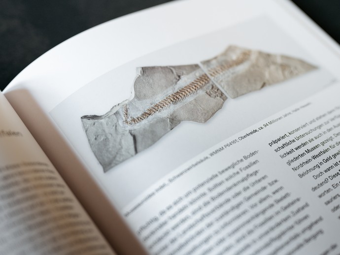 Einblick in das Begleitbuch zur Landesausstellung "überLeben zwischen Dinos und Schuppenbäumen". (vergrößerte Bildansicht wird geöffnet)