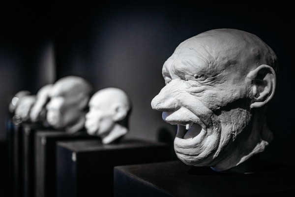 De menselijke evolutie wordt in de expositie in beeld gebracht door zeven hoofden met een expressieve uitstraling. Foto: LWL/Steinweg