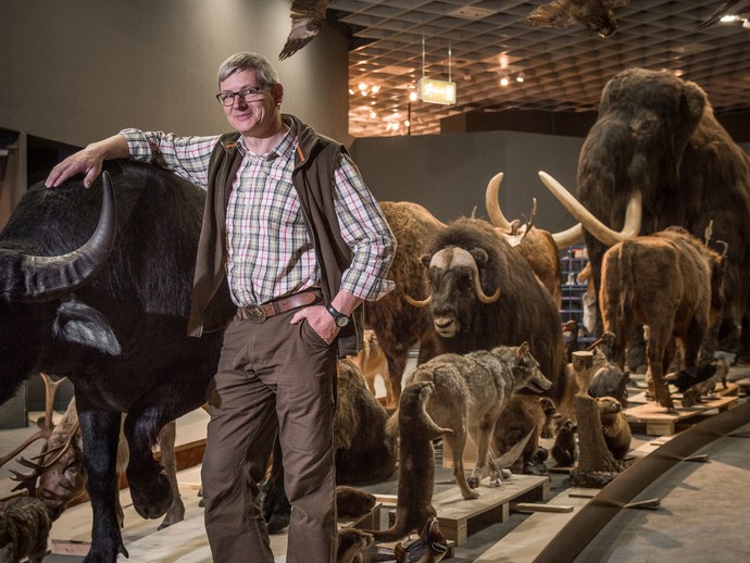 Präparator Rudolf Loheide in der neuen Westfalenausstellung. Foto: LWL/Steinweg (vergrößerte Bildansicht wird geöffnet)