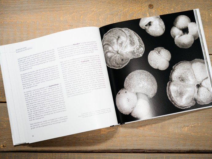 Einblick in das Begleitbuch zur Sonderausstellung "Das Klima". (vergrößerte Bildansicht wird geöffnet)