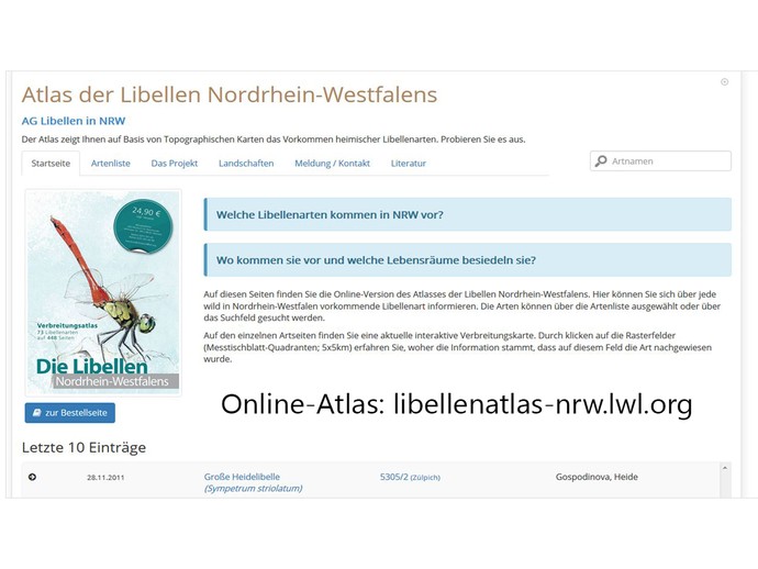 None (vergrößerte Bildansicht wird geöffnet)