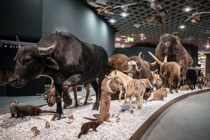 Westfälische Artenkarawane mit Mammut. Foto: LWL/Steinweg