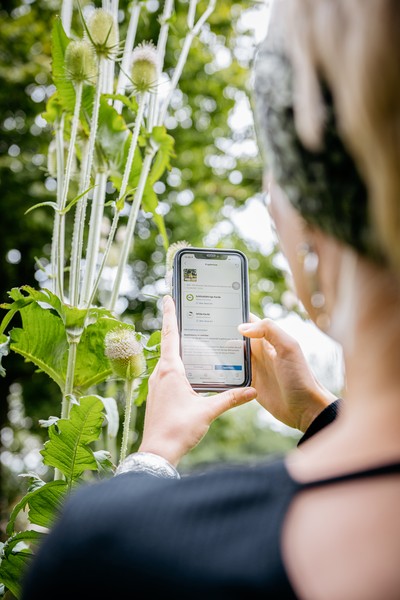 Frau mit Handy in der Natur. Foto: LWL/Steinweg
