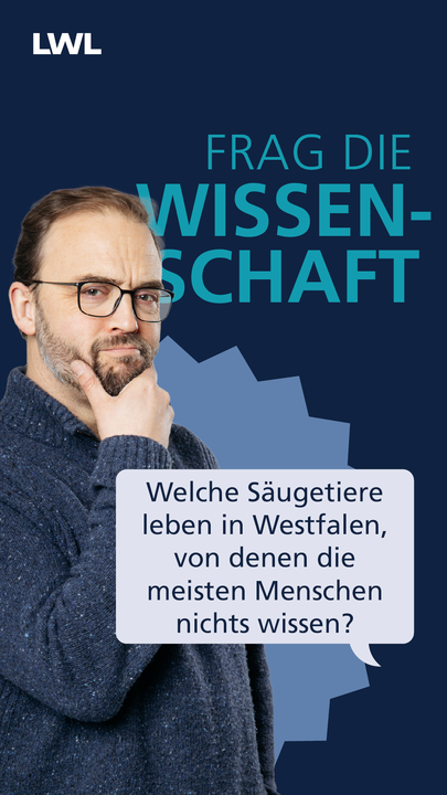 Vorschaubild des YouTube Kurzvideos