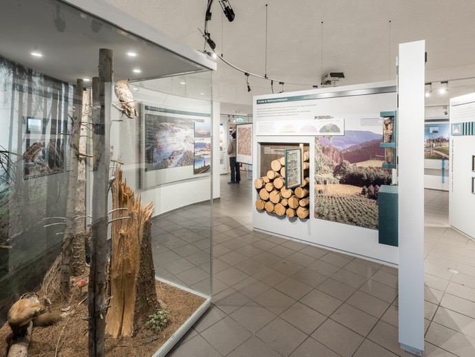 Ausstellungssituation im Astenturm. Foto:LWL/Steinweg (vergrößerte Bildansicht wird geöffnet)