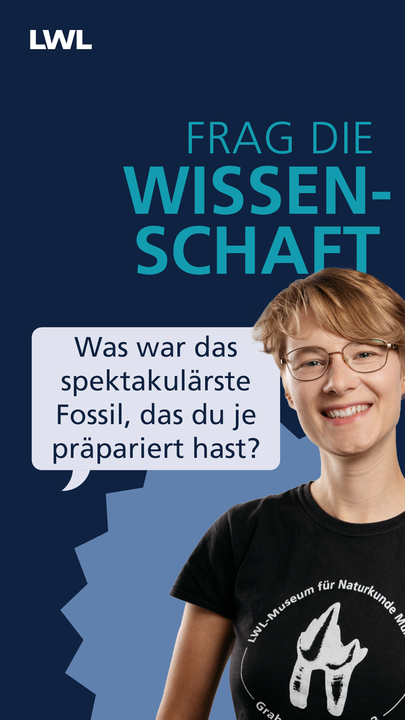 Vorschaubild des YouTube Kurzvideos