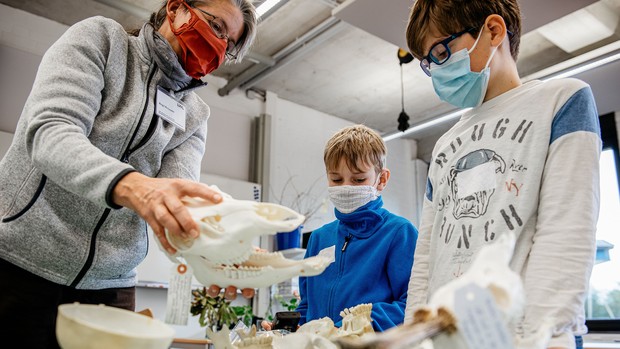 Museumspädagogin zeigt Kindern einen Schädel. Foto: LWL/Steinweg