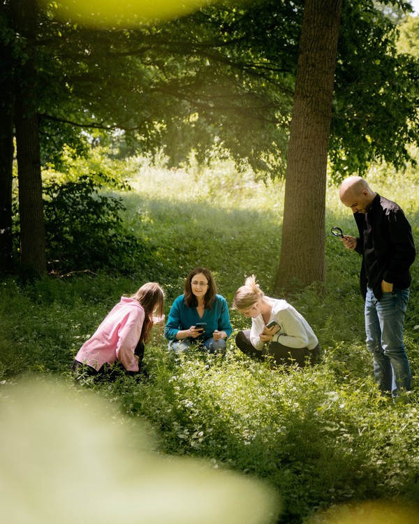 Interessierte fotografieren und bestimmen Pflanzen und Insekten.
