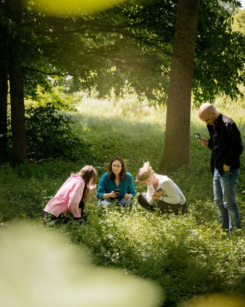 Interessierte fotografieren und bestimmen Pflanzen und Insekten.