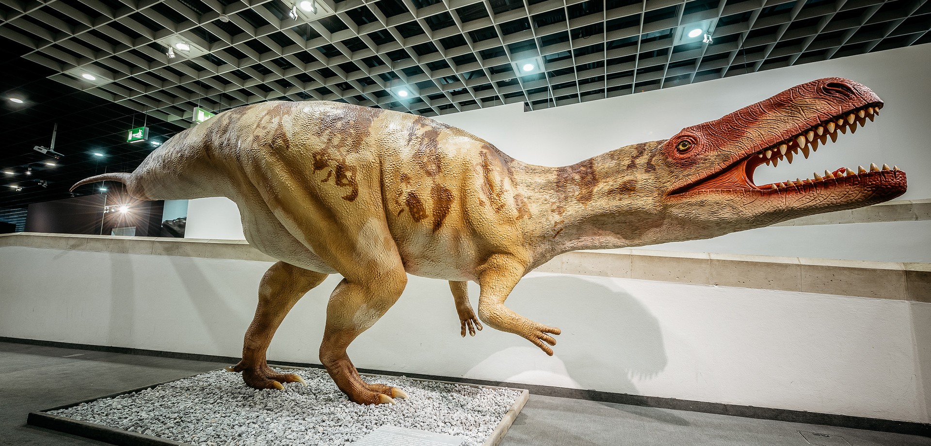 Wiehenvenator. Foto: LWL, Steinweg