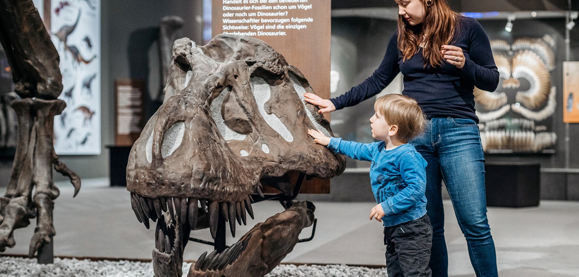 Ausstellungssituation: Frau mit Kind vor einem Dinoskelett. Foto:LWL/ Steinweg