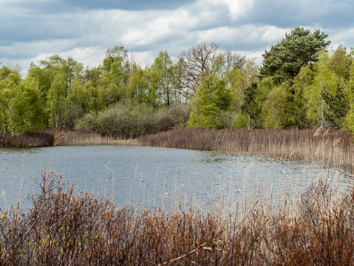 Bucht am Erdfallsee (vergrößerte Bildansicht wird geöffnet)