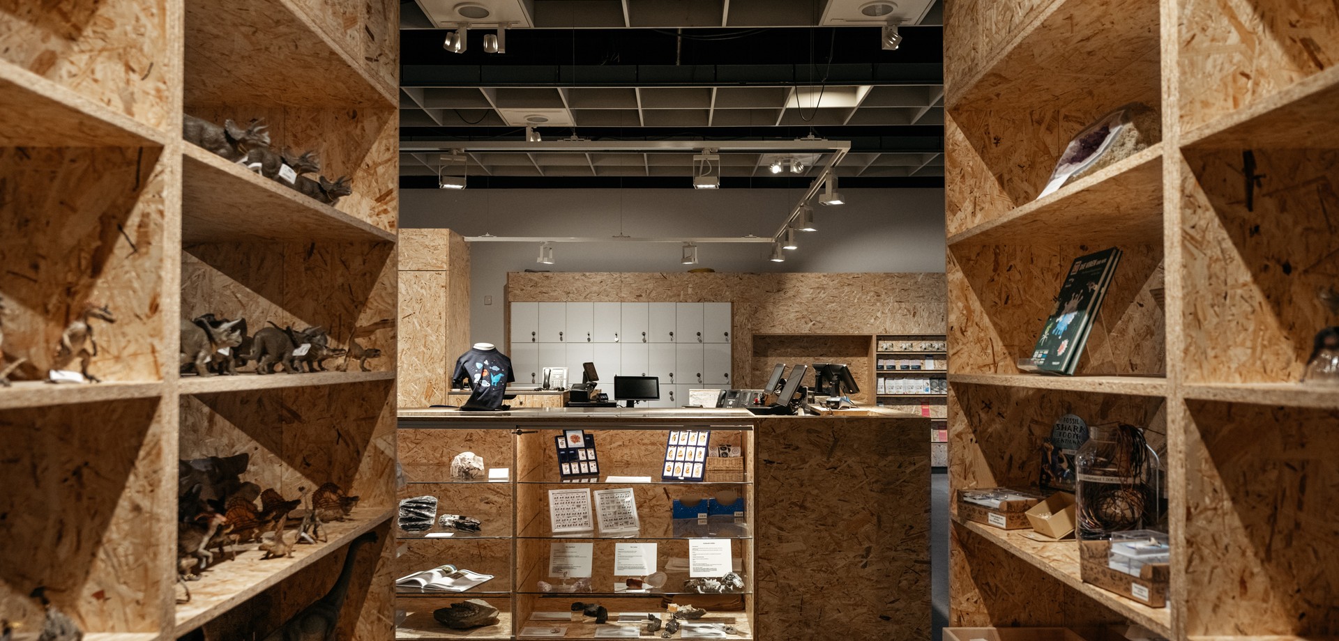 Museumshop im LWL-Museum für Naturkunde.