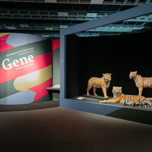 Eingangsbereich der Ausstellung Gene - Vielfalt des Lebens