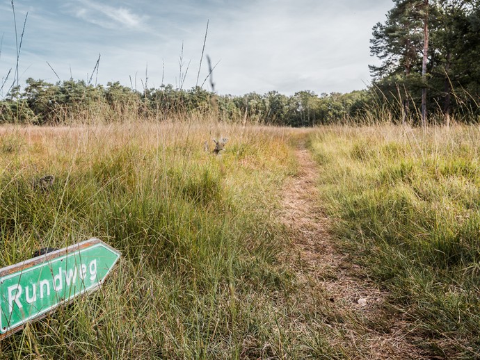 Rundweg durch die Heide. (vergrößerte Bildansicht wird geöffnet)