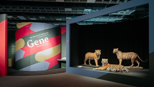 Eingang zur Sonderausstellung "Gene - Vielfalt des Lebens".