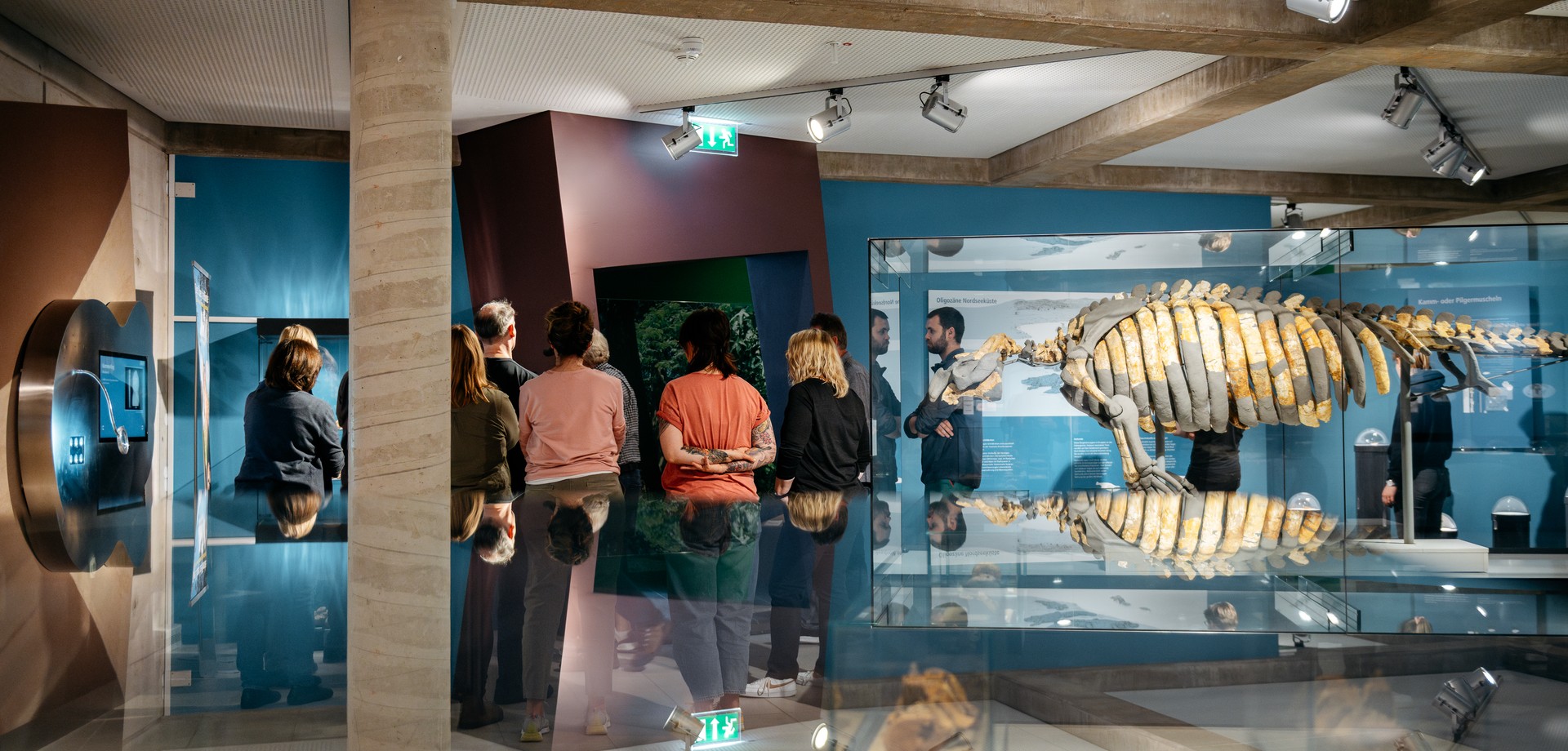 Blick auf eine gläserne Austellungvitrine mit einem Seekuhskelett. Daneben eine Gruppe von Leuten mit dem Rücken zum Betrachter gewandt.