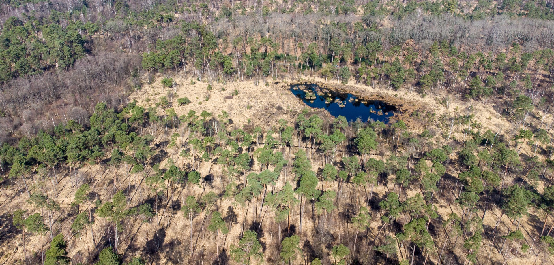 Lüntener Wald im Forstgut Ammeloe aus der Vogelperspektive. Foto: LWL/Kriegs