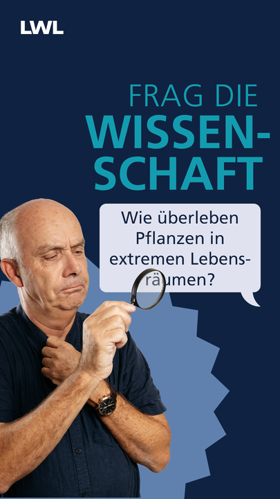 Vorschaubild des YouTube Kurzvideos